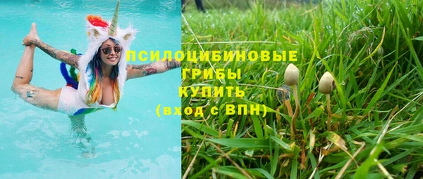 apvp Рославль