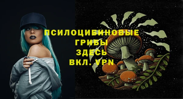 молекула духа Россошь