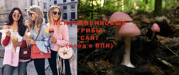 молекула духа Россошь