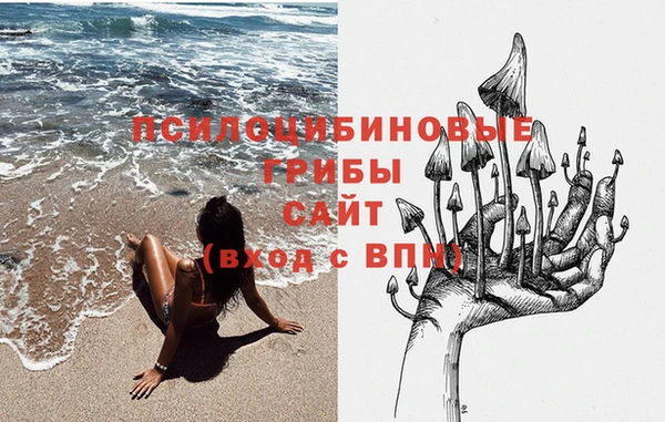 apvp Рославль
