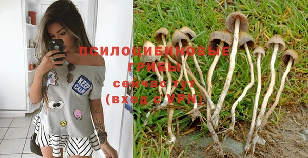 молекула духа Россошь