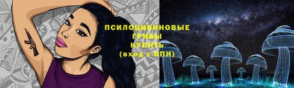 apvp Рославль