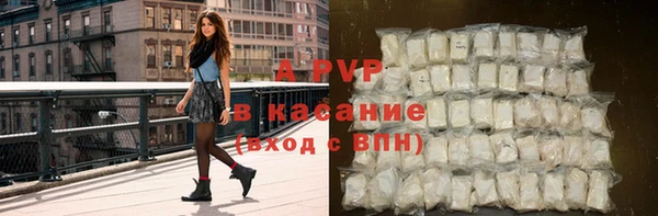 apvp Рославль