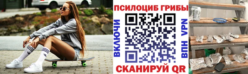 Купить  Спасск-Рязанский  Галлюциногенные грибы Psilocybine cubensis 